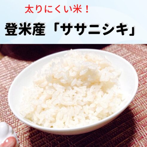 【希少品種】登米産「ササニシキ」5キロ