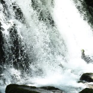 地元鳥海山の元滝伏流水