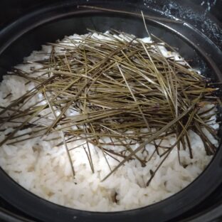 手軽に松葉の栄養摂取!「松葉ごはん」を作ってみた~松葉活用法①
