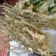 松葉の天ぷらを作ってみた｜松葉活用法⑤