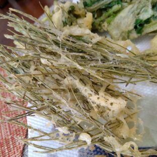 松葉の天ぷらを作ってみた｜松葉活用法⑤