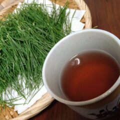松葉茶はまずいの?美味しいの? 視点を変えて考えてみる
