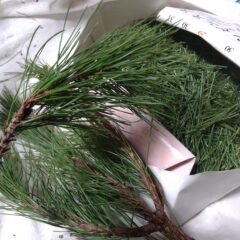 無害化な世と松