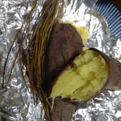 焼き芋を１ランクアップおいしくする方法｜焼き芋するのに松葉を入れると？｜松葉活用法⑧