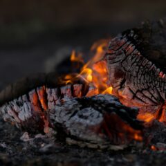 松の炭はデトックスに効果あり?!一般的な炭の効果効能と松炭ならではの特徴も解説!