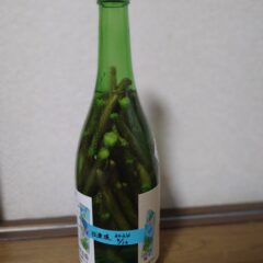 松葉液は松葉のエッセンス？！効能と実際に作り方を解説！