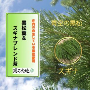 【限定商品】黒松葉＆スギナブレンド茶