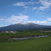 【エッセイ】松葉を煎じるようになってから～心の在り様の変化を見つめる～