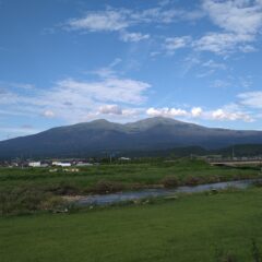 【エッセイ】松葉を煎じるようになってから～心の在り様の変化を見つめる～