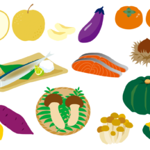 松葉に旬はあるの？松の栄養価の推移と松の成長サイクルから推察する