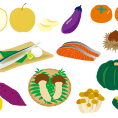 松葉に旬はあるの？松の栄養価の推移と松の成長サイクルから推察する