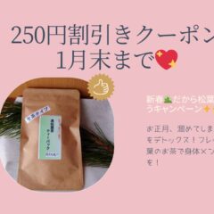 新春だから松葉茶飲んでみようキャンペーン開催中！