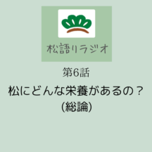 松にはどんな栄養があるの？｜松語りラジオ第６話