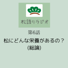 松にはどんな栄養があるの？｜松語りラジオ第６話