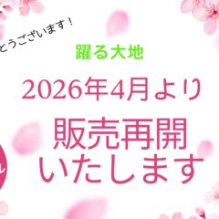 2026年4月より順次販売を再開させていただきます！