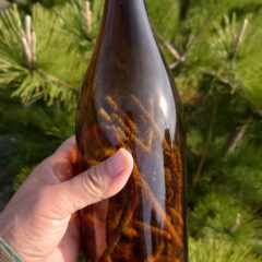 春に試したい《松葉液》作り