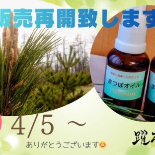 まつばオイルを販売再開します！