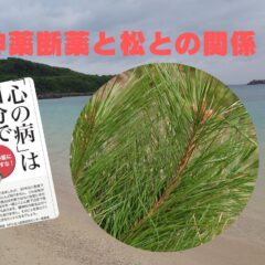 「向精神薬断薬」と松との関係について（体験談）