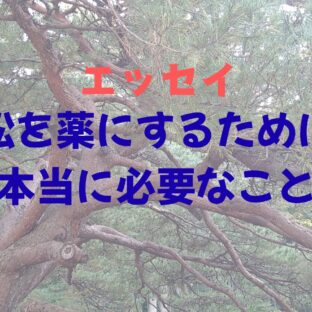 【エッセイ】松を薬とするために本当に必要なこと